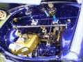 zw0231.jpg